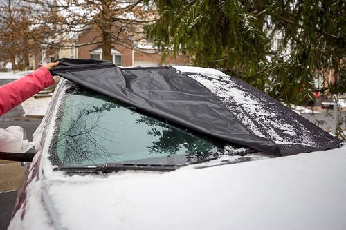 Windscreen frost protector - windscreen, to